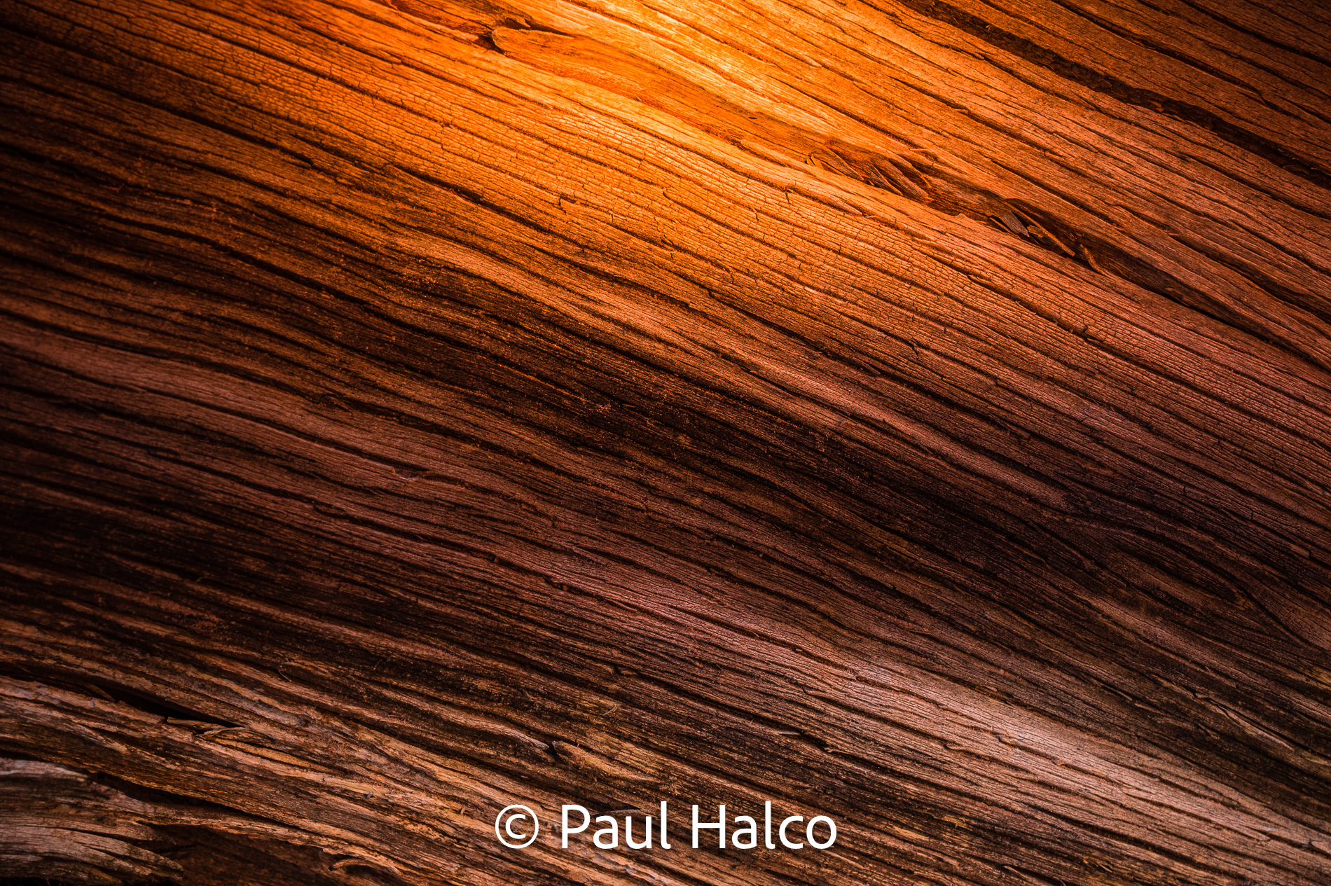Paul Halco - Arches NP-11
